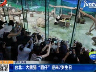 台北：大熊猫“圆仔”迎来7岁生日