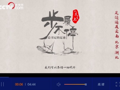 步履不停——总书记的足迹