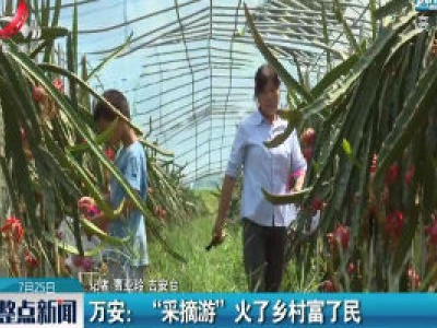 万安：“采摘游”火了乡村富了民