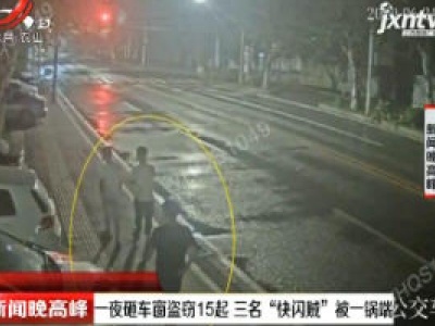 武汉：一夜砸车窗盗窃15起 三名“快闪贼”被一锅端