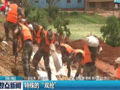 【行动起来 防汛救灾】特殊的“双抢”