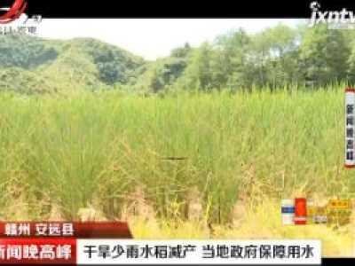 赣州安远县：干旱少雨水稻减产 当地政府保障用水