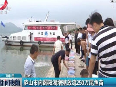 新闻夜航20200701