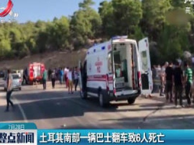 土耳其南部一辆巴士翻车致6人死亡