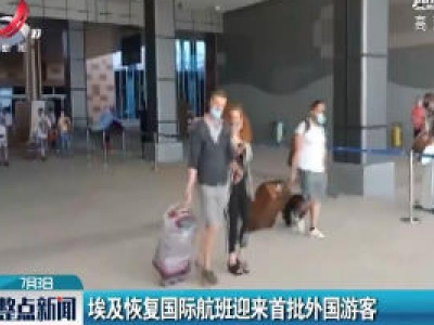 埃及恢复国际航班迎来首批外国游客