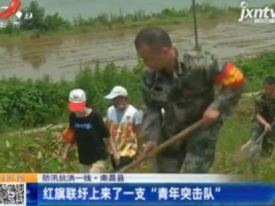 【防汛抗洪一线】南昌县：红旗联圩上来了一支“青年突击队”