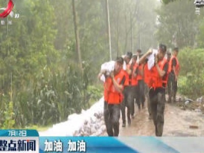【行动起来 防汛抗洪】彭泽棉船镇：军民同心 紧急抢险加筑子堤