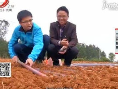三农聚焦20200703薯类作物翻身记（下）