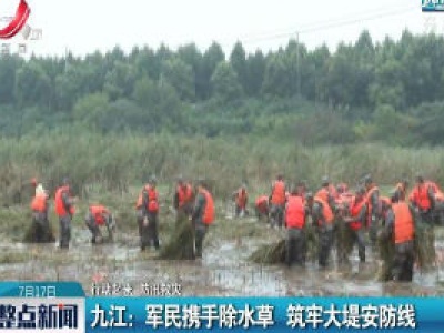 【行动起来 防汛救灾】九江：军民携手除水草 筑牢大堤安防线