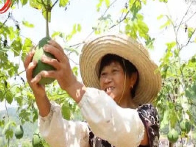 【决战决胜脱贫攻坚】抚州：发挥特色资源优势 巩固脱贫攻坚成果
