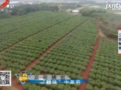 三农聚焦20200721“赣味”中草药