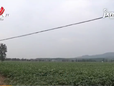 【聚焦“放管服”改革 曝光“怕慢假庸散” ·后续】吉安青原区：土地撂荒两年后获丰收 村民得田租还能赚工钱