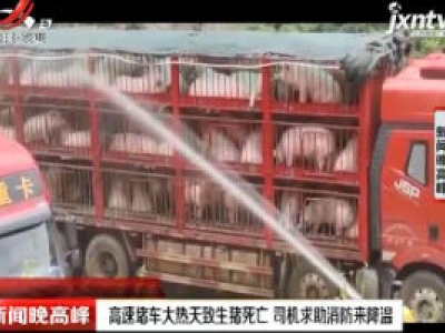 陕西：高速堵车大热天致生猪死亡 司机求助消防来降温