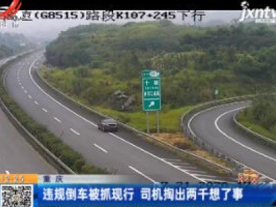 重庆：违规倒车被抓现行 司机掏出两千想了事