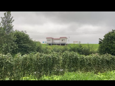美丽江西在行动20200707 九江市濂溪区杨家场村：江湖交汇独一无二 一波三折污水处理