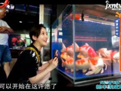 盛夏的时光——观鱼静心 好清凉