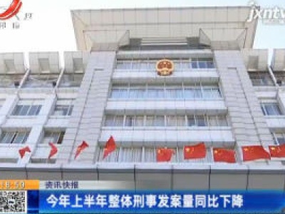 2020年上半年整体刑事发案量同比下降
