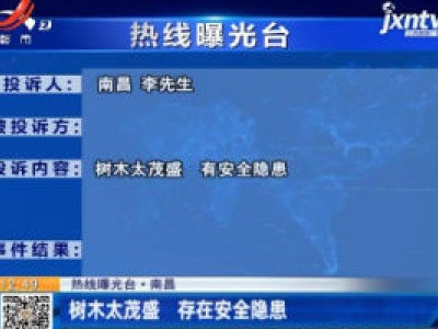 【热线曝光台】南昌：树木太茂盛 存在安全隐患