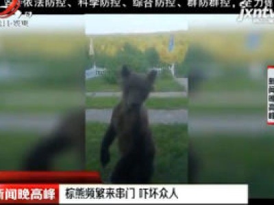 大兴安岭：棕熊频繁来串门 吓坏众人