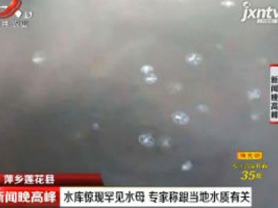 萍乡莲花县：水库惊现罕见水母 专家称跟当地水质有关