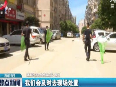 九江濂溪区：倡导文明养犬 建设宜居家园