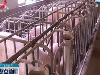 江西生猪产能恢复八成以上