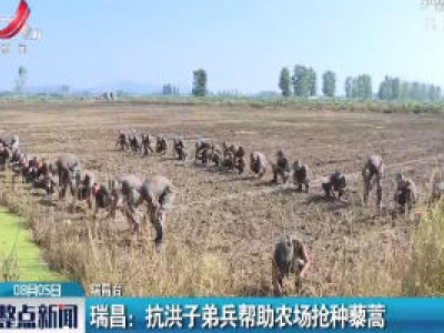 瑞昌：抗洪子弟兵帮助农场抢种藜蒿