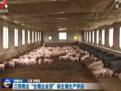 江西推出“生猪企业贷”保生猪生产供应