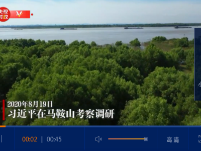 独家视频丨习近平在马鞍山考察调研
