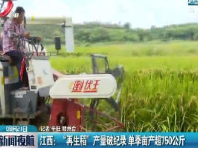 江西：“再生稻”产量破纪录 单季亩产超750公斤