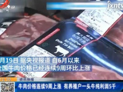 牛肉价格连续9周上涨 有养殖户一头牛纯利润5千