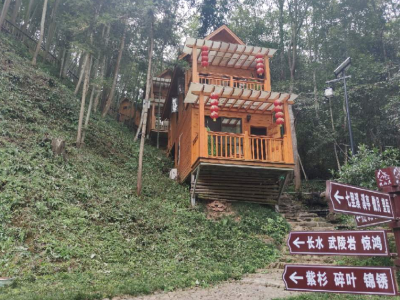 走向我们的小康生活丨 武宁：卖木材变“卖生态”