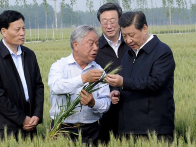 杜绝“舌尖上的浪费”，总书记这样强调