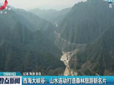 西海大峡谷：山水连动打造森林旅游新名片