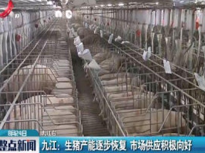 九江：生猪产能逐步恢复 市场供应积极向好