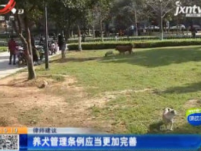 律师建议：养犬管理条例应当更加完善