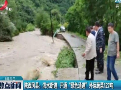 陕西凤县：洪水断道 开通“绿色通道”外运蔬菜127吨