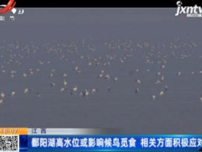 江西：鄱阳湖高水位或影响候鸟觅食 相关方面积极应对