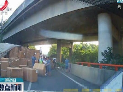 杭瑞高速：司机行车时被马蜂蛰 导致交通事故
