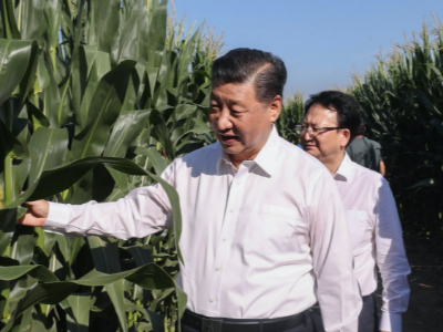 一枝一叶总关情丨让农民挑上“金扁担”