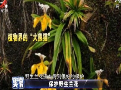 杂志天下20200821