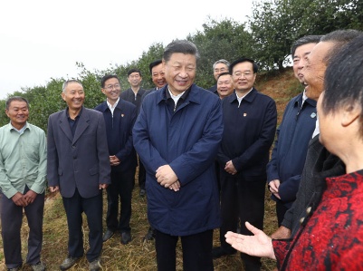 一枝一叶总关情丨光山油茶的“好路子”