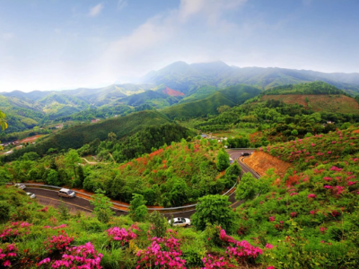 赣州做活“森林旅游”等林下经济，打通“绿水青山就是金山银山”双向转换通道
