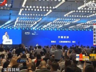 新闻晚高峰20200812