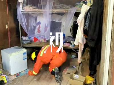 毒蛇溜进工地宿舍 消防员变身捕蛇者