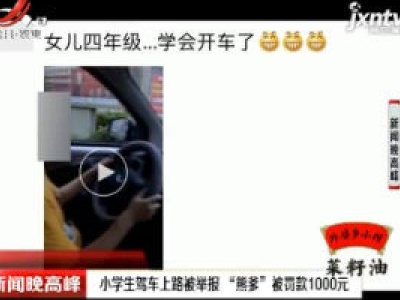 江苏：小学生驾车上路被举报 “熊爹”被罚款1000元