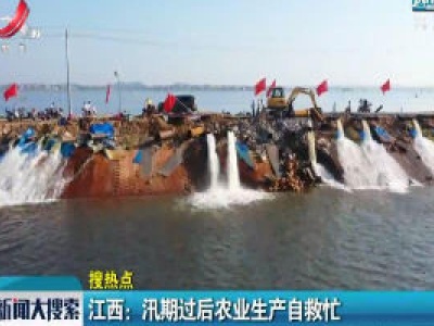 新闻大搜索20200826