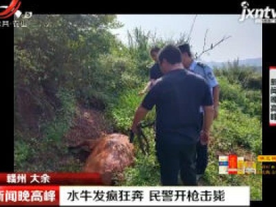 赣州大余：水牛发疯狂奔 民警开枪击毙