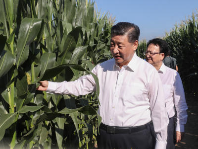 热解读丨脚步