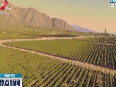 阿根廷将中国视为葡萄酒出口战略市场